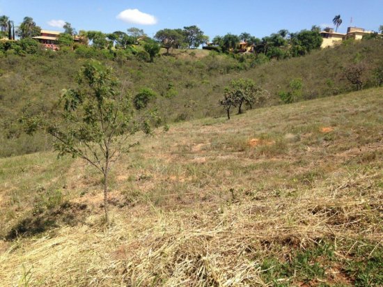 lote-venda-condominio-aguas-de-serra-morena-jaboticatubas-mg-219563