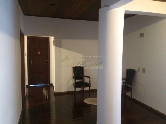 casa-comercial-venda-e-aluguel-bairro-santa-amelia-belo-horizonte-mg-986248