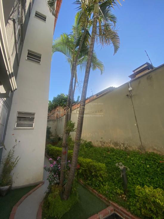 apartamento-venda-bairro-santa-amelia-belo-horizonte-mg-1134894